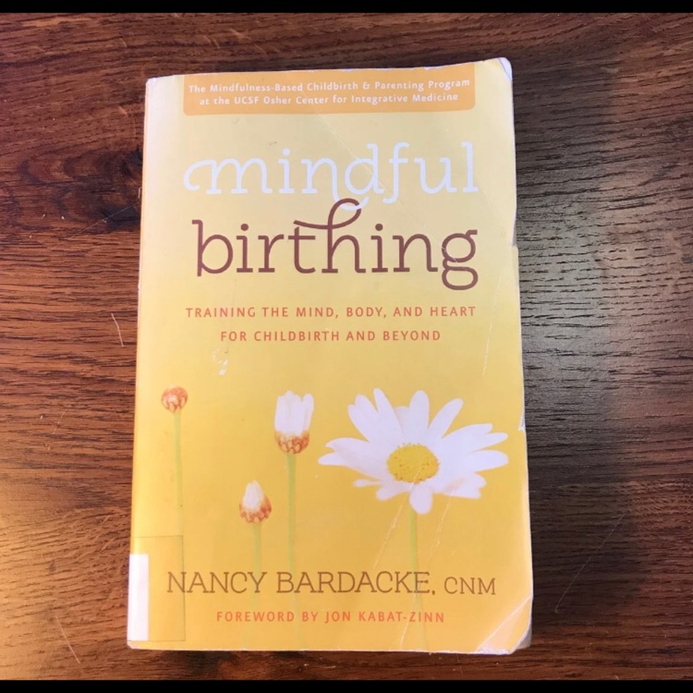 🩵3/$10 Deal!-Mindful Birthing Book